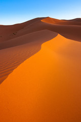 Sand Dunes in the Sahara Desert in Morocco
