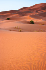 Sand Dunes in the Sahara Desert in Morocco