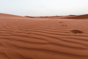 Sand Dunes in the Sahara Desert in Morocco