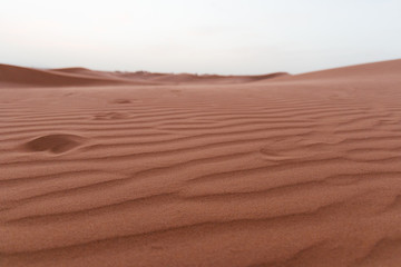 Sand Dunes in the Sahara Desert in Morocco