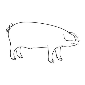 recommend clip art: Farm Animals