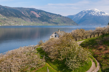 Fototapeta na wymiar Landscape with mountains. village in Norwegian fjords