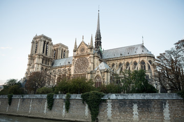 Plakat Notre Dame Paris