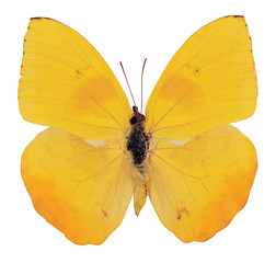 Fototapeta premium 포토시리즈