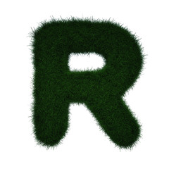 Realistic Grass Letter R