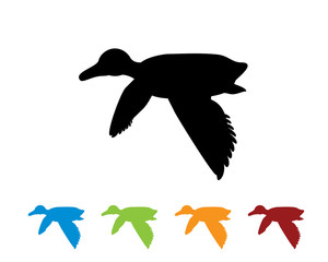 flying duck 2
