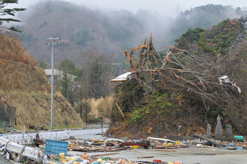 東日本大震災津波被害