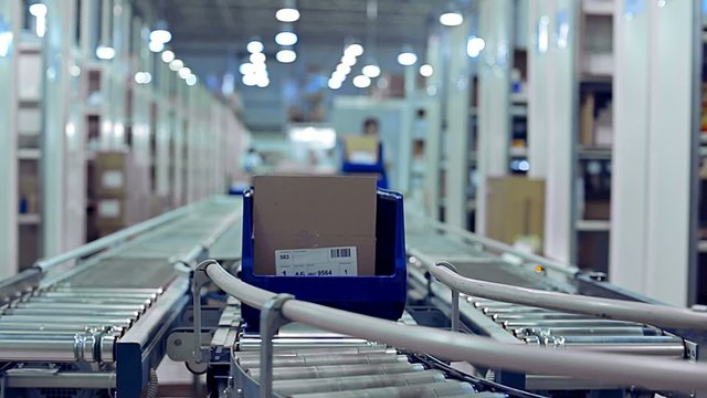 Cardboard boxes are moving on a transporter of a packaging line
