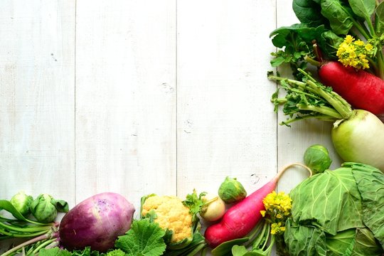 1 907 Best 野菜 フレーム Images Stock Photos Vectors Adobe Stock