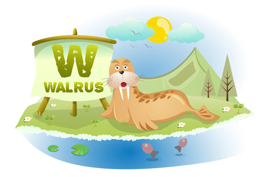 Funny Cartoon Alphabet W With Walrus
