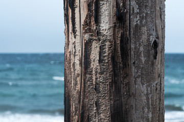海岸の古い木製電柱