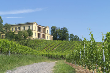 Fototapeta na wymiar Schloß Villa Ludwigshöhe