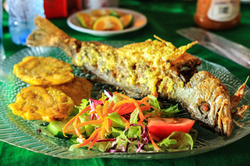 Garlic Fried Fish and Plantain lunch in Costa Rica