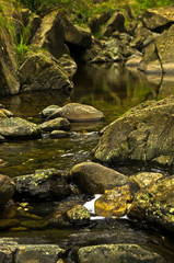 Naklejka na ściany i meble Detail of rocks in water at Black river gorge