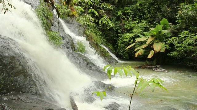 Rainforest stream in the Choco Biological Region, Ecuador