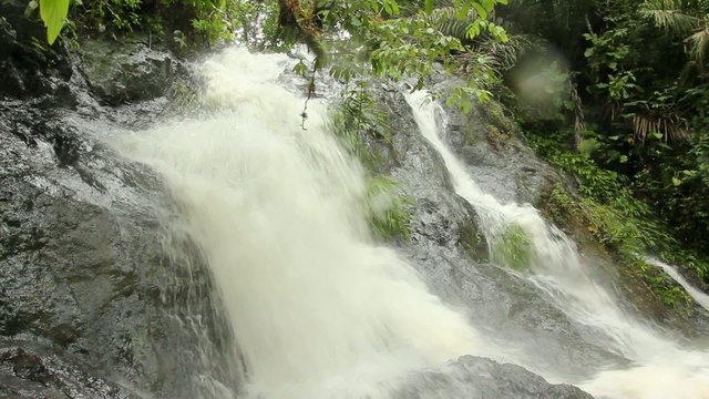 Rainforest stream in the Choco Biological Region, Ecuador