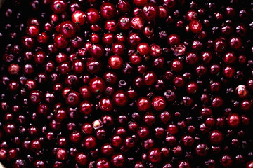 image of fresh raw wild red and black berry