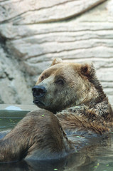 Obraz premium 포토시리즈