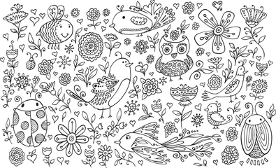 Gardinen Blumen-Vogel-Gekritzel-Vektor-Illustrations-Set © Blue Foliage