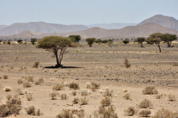 Marocco deserto
