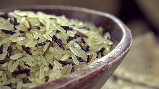 Raw mixed Rice (not loopable 4K UHD footage)