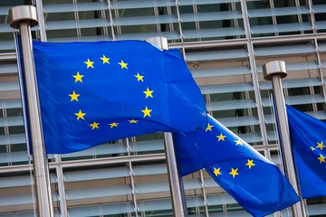 Foto op Plexiglas Brussel European flags in Brussels