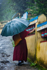Buddhist monk with umbrella in McLeod Ganj