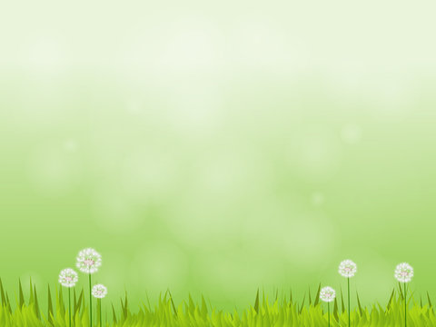 Natural green vector background