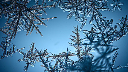 abstract blue background cold ice texture with cracks