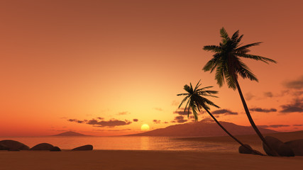 zonsondergang palmboom