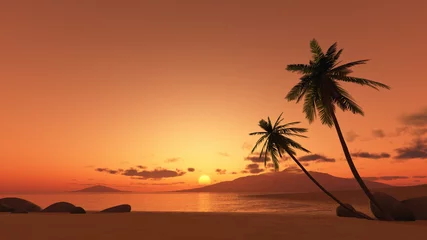 Fototapete sunset palm tree © magann
