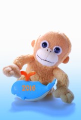 2016年申がクジラと遊ぶ