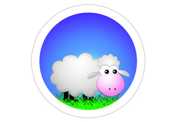 Obraz premium Autoaufkleber / Sticker / Schaf