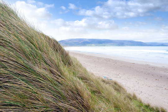 view from dunes at the maharees