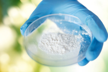 close up of scientist hands holding petri dish