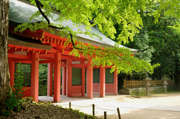 Fototapeta premium 香取神宮