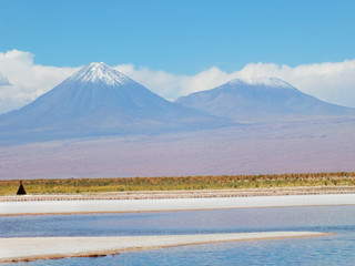 Laguna Cejar. Norte de Chile
