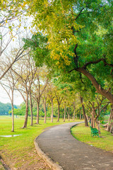 Summer park road and pathway