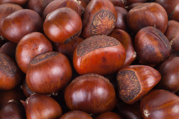 chestnuts sit on a white background