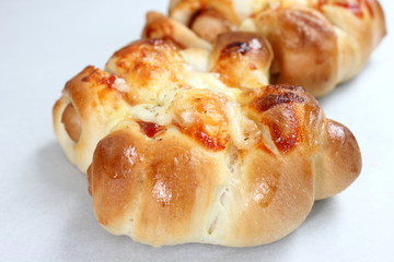 Cheese sausage bread  on white background.