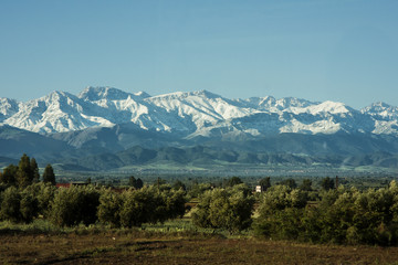 Marocco - Montagne Alto Atlante