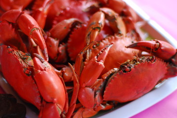 포토시리즈(해외여행)