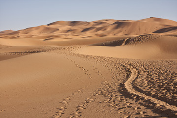 Fototapeta na wymiar Deserto Sahara - Dune tramonto