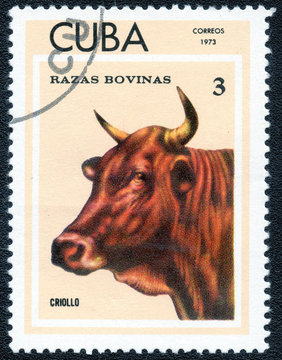 CUBA - CIRCA 1973: