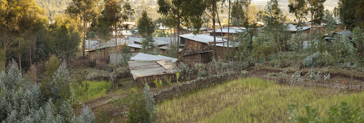 Fototapeta na wymiar small village and farm in Ethiopia