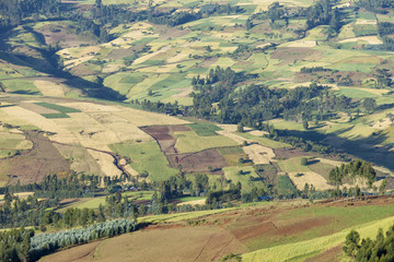 Fototapeta na wymiar patchwork of farms in Ethiopia