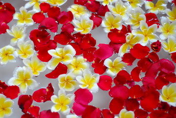 포토시리즈(해외여행)