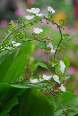 포토시리즈(해외여행)