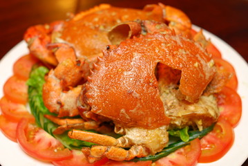 포토시리즈(해외여행)