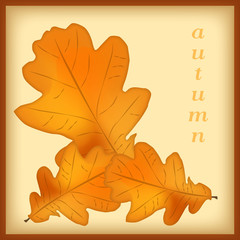 Autumn icon © ChemiQ